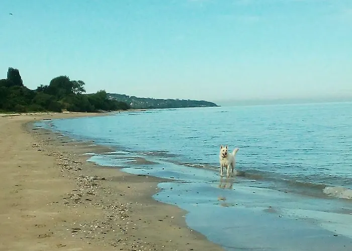 Apartment Le Maely, Au Calme, Centre De *